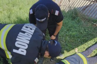 interventie de suflet un catel a fost scos dintr un canal adanc de 4 metri 68a5a312db117