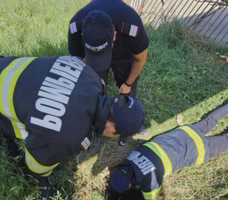 interventie de suflet un catel a fost scos dintr un canal adanc de 4 metri 68a5a312db117