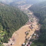 inundatiile din suceava si neamt zeci de animale pasari pierdute si stupi distrusi veterinarii intervin in brosteni si ostra 68938e6c1017c