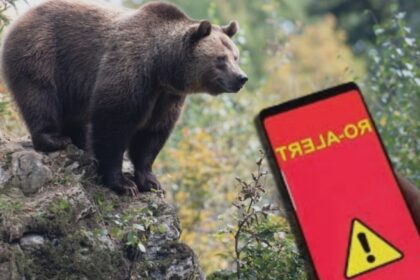 la un pas de o noua tragedie motociclist strain muscat de urs pe transfagarasan a scapat cu viata dar cu rani la picior 68a9feea81d64