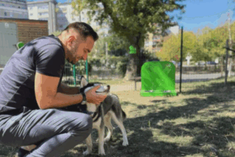 lectia de la piatra neamt dog park urile inaugurate in oras ar putea fi solutia pe care iasul o asteapta 68aed1a2e9939