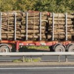 lemn confiscat la lungani si motca doi barbati amendati de politisti pentru transport ilegal 68acb4991aedb