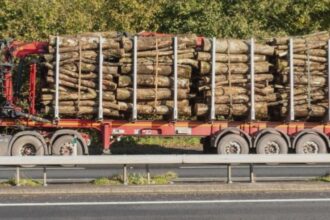 lemn confiscat la lungani si motca doi barbati amendati de politisti pentru transport ilegal 68acb4991aedb