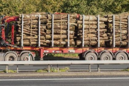 lemn confiscat la lungani si motca doi barbati amendati de politisti pentru transport ilegal 68acb4991aedb