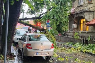 mai multi copaci au fost doborati de furtuna din aceasta dupa amiaza din iasi un arbore a cazut peste o masina in care se afla un om video 689360420a9ca