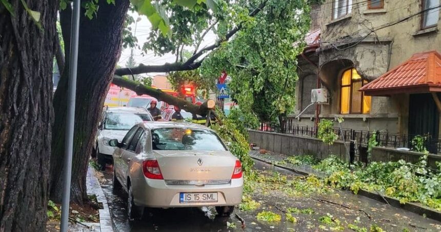 mai multi copaci au fost doborati de furtuna din aceasta dupa amiaza din iasi un arbore a cazut peste o masina in care se afla un om video 689360420a9ca