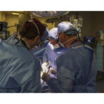 maraton de transplanturi renale la spitalul parhon 6891fd6b20380