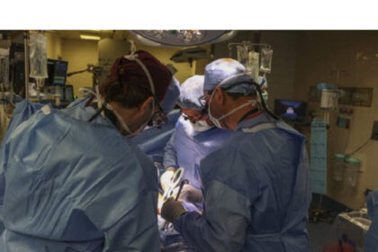 maraton de transplanturi renale la spitalul parhon 6891fd6b20380