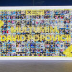 multumim david popovici 6891bc568f498