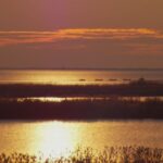 nivelul apei din complexul razim sinoe tot mai scazut semnalul de alarma tras de specialisti 68ac51a3c26d7