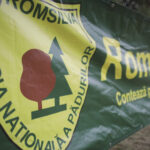 noi contracte pentru membrii ca al romsilva cu indemnizatii reduse cu peste 50 buzoianu regia se afla intr o situatie critica 68939e6037bbb