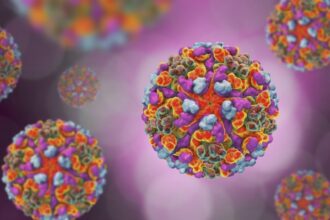 noul virus chikungunya reaprinde teama unei pandemii se refera la un simptom infiorator al victimelor 68a1e010995ac