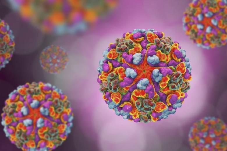 noul virus chikungunya reaprinde teama unei pandemii se refera la un simptom infiorator al victimelor 68a1e010995ac