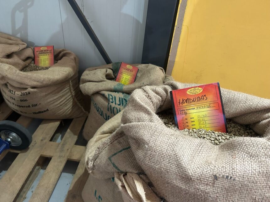 o premiera nationala se prajeste in bucium cafeaua artizanala de iasi in capsule povestea familiei italo romane de la maison du cafe 688eaac584d78