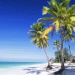 peste 30 de persoane din satu mare inselate cu vacante fictive in zanzibar la cat se ridica prejudiciul 689da6e215b4c