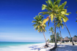 peste 30 de persoane din satu mare inselate cu vacante fictive in zanzibar la cat se ridica prejudiciul 689da6e215b4c