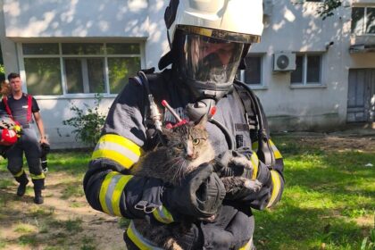 pisica salvata de pompierii din iasi dintr un apartament care a luat foc 688e270fe15b4