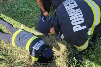 pompierii ieseni au salvat un caine cazut intr un canal adanc de patru metri 68a5f18b7368d