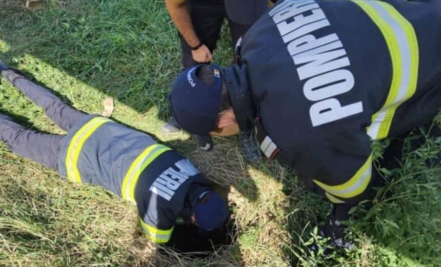 pompierii ieseni au salvat un caine cazut intr un canal adanc de patru metri 68a5f18b7368d