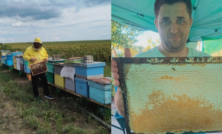 povestea tanarului absolvent al usv iasi care a proiectat un cantar inteligent pentru stupina proprie de la mure si zmeura la albine 68a122df9063e
