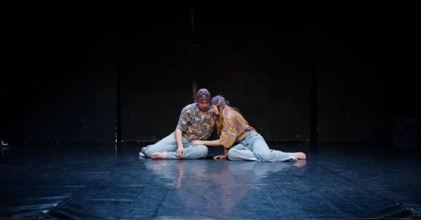 premiera la universitatea de arte din iasi noi frontiere in cercetarea transdisciplinara universitara arta si neurostiinta fuzioneaza intr un proiect unic in romania 689359dfddcd5