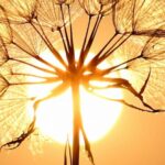 prognoza meteo 30 august final de vara cu surprize intre canicula sufocanta si furtuni violente 68b281939ff70