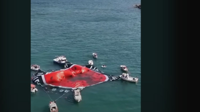 protest in portul din istanbul activisti au afisat bannere pro palestiniene in barci pe bosfor 68aab674c7a3e