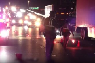 razbunare in stil mafiot oameni loviti intentionat cu masina 68b3f95208dd0