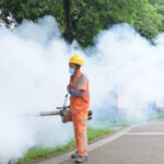 restrictii ca in pandemie in china un virus transmis de tantari se raspandeste rapid in provincia guangdong 6891cc926c1c4