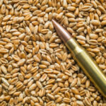 rusia isi creste exporturile de grau pe baza cerealelor din teritoriile ocupate in ucraina 689349f2b3a01