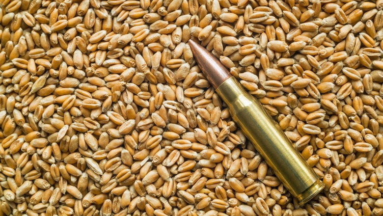 rusia isi creste exporturile de grau pe baza cerealelor din teritoriile ocupate in ucraina 689349f2b3a01