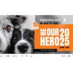 salveaza o viata cu un bilet iasul gazduieste un festival caritabil pentru animalele fara stapan 689ee18fc1fc5