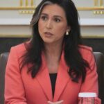 scandal in cercurile serviciilor secrete tulsi gabbard acuzata ca blocheaza cooperarea din cadrul aliantei spionilor five eyes 68af29412ec99