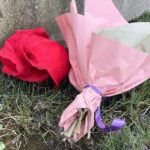 scene interzise de amor doi amanti si au dat intalnire langa lidl au renuntat la haine si au trecut la fapte in vazul tuturor 689533f898cd7