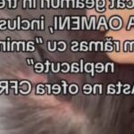 scene socante intr un tren din romania o femeie si o copila de 12 ani au fost ranite dupa ce mai multe geamuri s au spart in mers 68a45e84bff6c