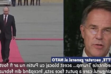seful nato il lauda pe trump pentru intalnirea cu liderii europeni mark rutte donald trump este singurul care ii face fata lui putin 68a42ae24fd3a