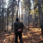 spaima prin vecini mor padurile moldovei daca se muta sediul romsilva la iasi 68920b49f1333