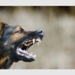 spitalul de boli infectioase avertizeaza asupra unei crize de sanatate publica 68aee2faaef90