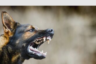 spitalul de boli infectioase avertizeaza asupra unei crize de sanatate publica 68aee2faaef90