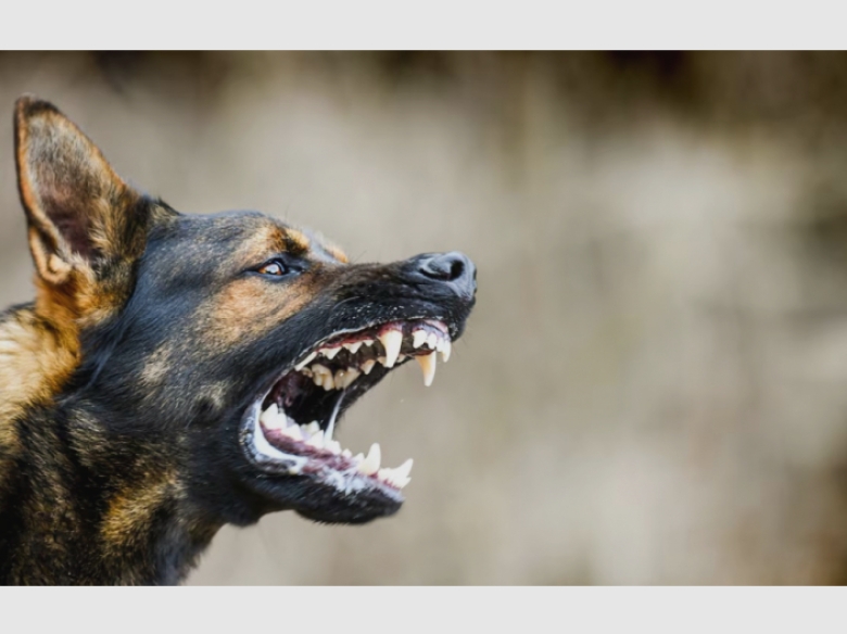 spitalul de boli infectioase avertizeaza asupra unei crize de sanatate publica 68aee2faaef90