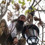 stegarul dac aflat in arest preventiv la penitenciarul rahova a escaladat un gard si s a urcat intr un pom 688d4708b78db 2