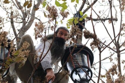 stegarul dac aflat in arest preventiv la penitenciarul rahova a escaladat un gard si s a urcat intr un pom 688d4708b78db 2