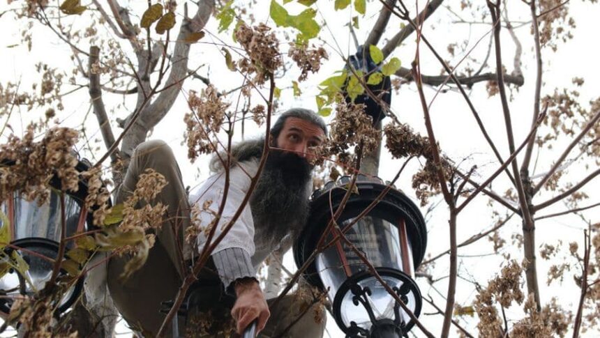 stegarul dac aflat in arest preventiv la penitenciarul rahova a escaladat un gard si s a urcat intr un pom 688d4708b78db 2