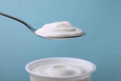 studiu un gel inovator obtinut din iaurt imita structura tesutului uman ar putea schimba radical medicina regenerativa 68992b92658dd