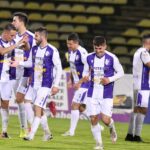 superliga fc botosani fc arges scor 3 1 victorie clara pentru moldoveni dupa un meci spectaculos 689a370e4e79b