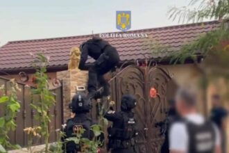 surse un suspect al crimei de la padina incearca sa scape de pedeapsa printr un denunt fals politistii au facut perchezitii 689b4ca4461c4