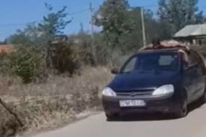 tanar filmat in timp ce sta agatat de capota unei masini aflate in mers autoritatile au fost sesizate video 68b2324a67c41