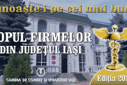 topul firmelor din iasi 2024 ritmul de crestere este sub potential fiind franat in primul rand de lipsa infrastucturii 689d21728170d