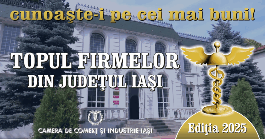topul firmelor din iasi 2024 ritmul de crestere este sub potential fiind franat in primul rand de lipsa infrastucturii 689d21728170d