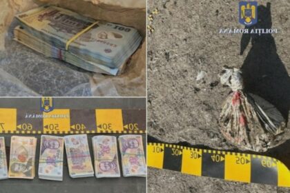 trei clujeni s au prefacut ca deratizeaza casa unui batran si i au furat 30 000 de euro unde au ascuns averea 68addb656287b